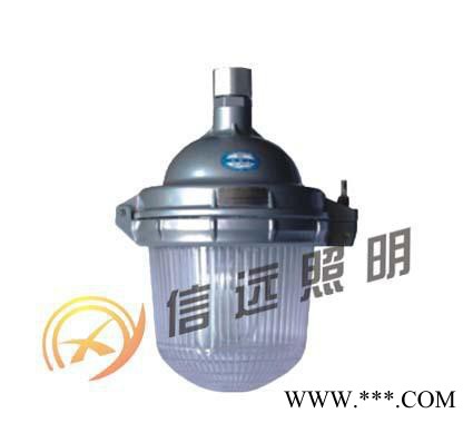 ** **低价 环保无价 卤素泛光灯 充电泛光灯图2