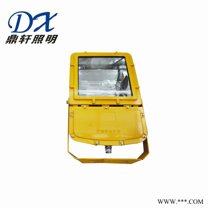 鼎轩照明SW7200强光泛光工作灯250W/400W金卤灯光源壁挂式防震投光灯电厂适用灯具图5