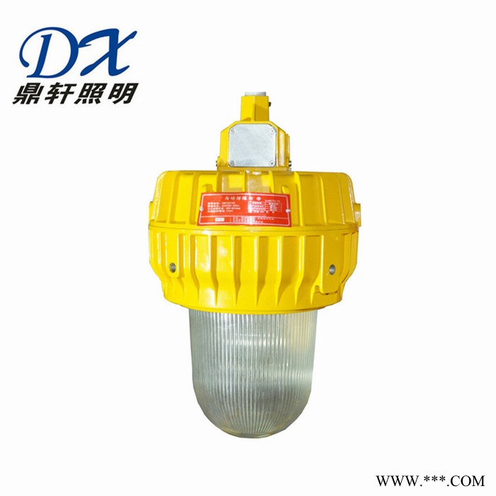 鼎轩照明SW7200强光泛光工作灯250W/400W金卤灯光源壁挂式防震投光灯电厂适用灯具图2