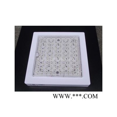 供应圆梦电器LEDLED灯泡 灯管