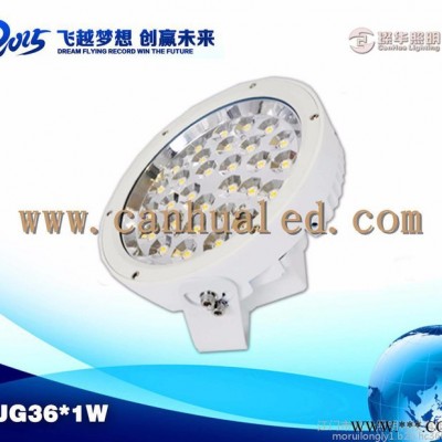 LED投光灯，36W烤漆景观LED投光灯，璨华照明投光灯，楼体景观LED投光灯