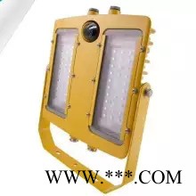 金顿BFC8118LED防爆摄像泛光灯 100W摄像防爆灯 多功能摄像灯图2