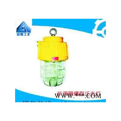 DGS70/127B（B）矿用隔爆型泛光灯LED防爆灯