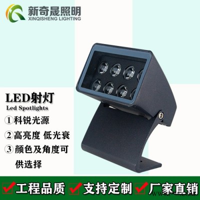 led投射灯楼体河道公园室外亮化照明投光灯防水led射灯厂家新奇晟