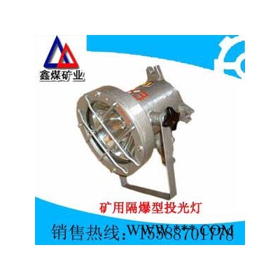 供应供应矿用隔爆型投光灯DGS70/