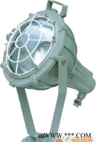 隔爆型投光灯 防爆应急灯 防爆灯具 BAT51（方）-1000W