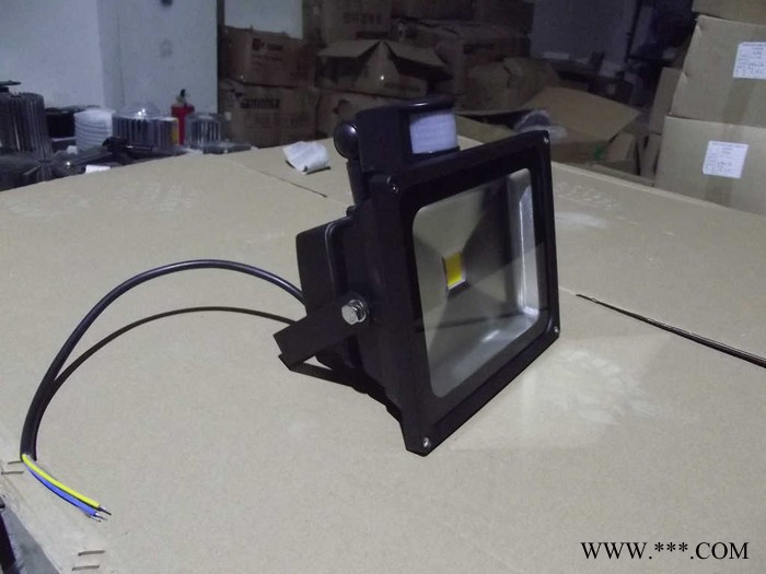 人体感应式泛光灯30W.感应泛光灯30W.深圳感应式泛光灯3图1