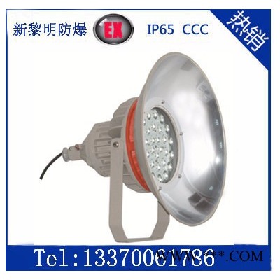 大功率LED防爆投光灯，新黎明LED防爆投光灯，防爆免维护LED投光灯
