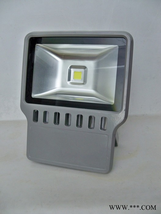 亮府LYTG100AW036028S LED泛光灯 IP65户外防雨防尘LED泛光灯 LED投光灯COB图2