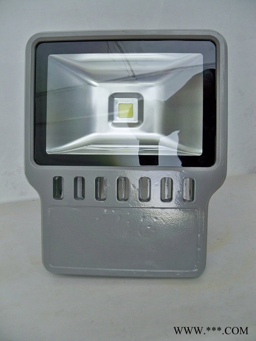 亮府LYTG100AW036028S LED泛光灯 IP65户外防雨防尘LED泛光灯 LED投光灯COB图1