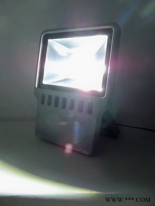 亮府LYTG100AW036028S LED泛光灯 IP65户外防雨防尘LED泛光灯 LED投光灯COB图4