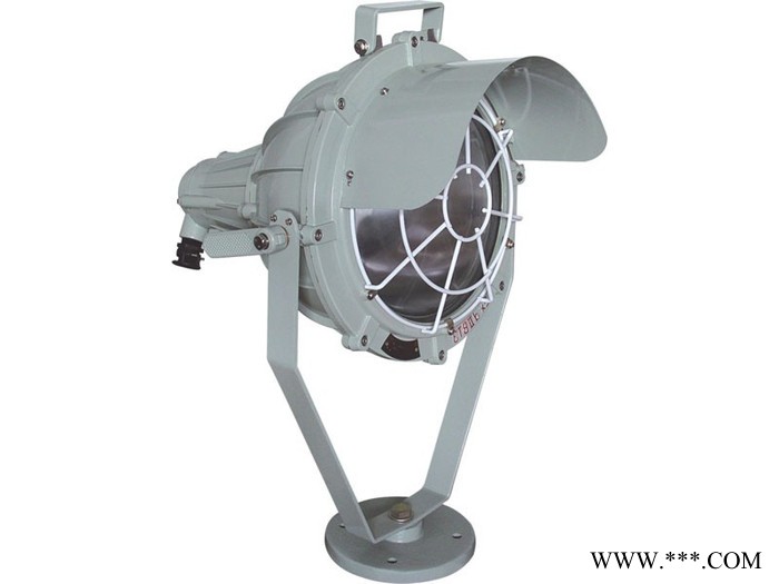 中沈防爆CBAT58 防爆投光灯 防爆投光灯CBAT58-250W防爆灯具图2