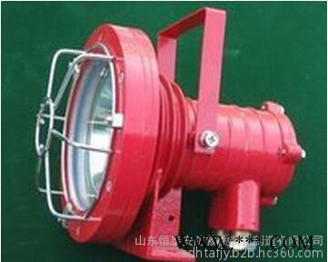 DGS24/127L（A）矿用隔爆型LED投光灯图5
