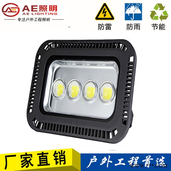 AEAE-SDD-02户外投光灯,照明投射灯直销户外投光灯遂道灯外照明投射灯150W200W250W300W图2