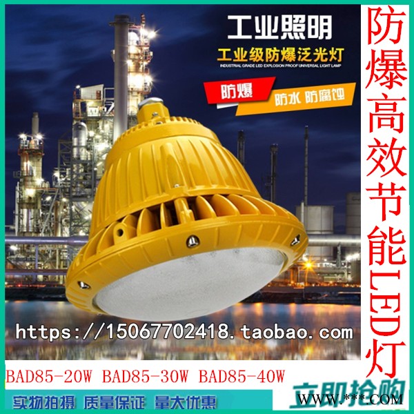 BAD85-I20W BAD85-M30W BAD85-M40W防爆高效节能LED灯泛光灯图1