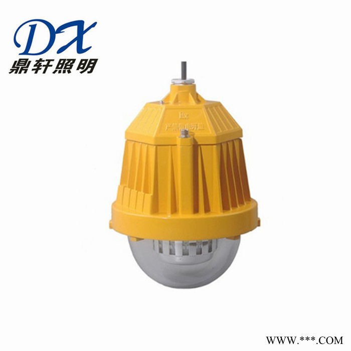 厂家供应内场防爆LED灯ZS-BF2110L-50W圆形泛光灯U型支架图2