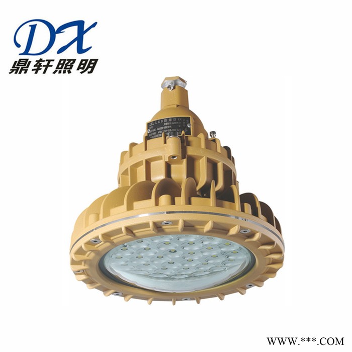 厂家供应内场防爆LED灯ZS-BF2110L-50W圆形泛光灯U型支架图4
