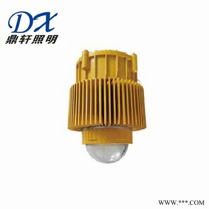 厂家供应内场防爆LED灯ZS-BF2110L-50W圆形泛光灯U型支架图5