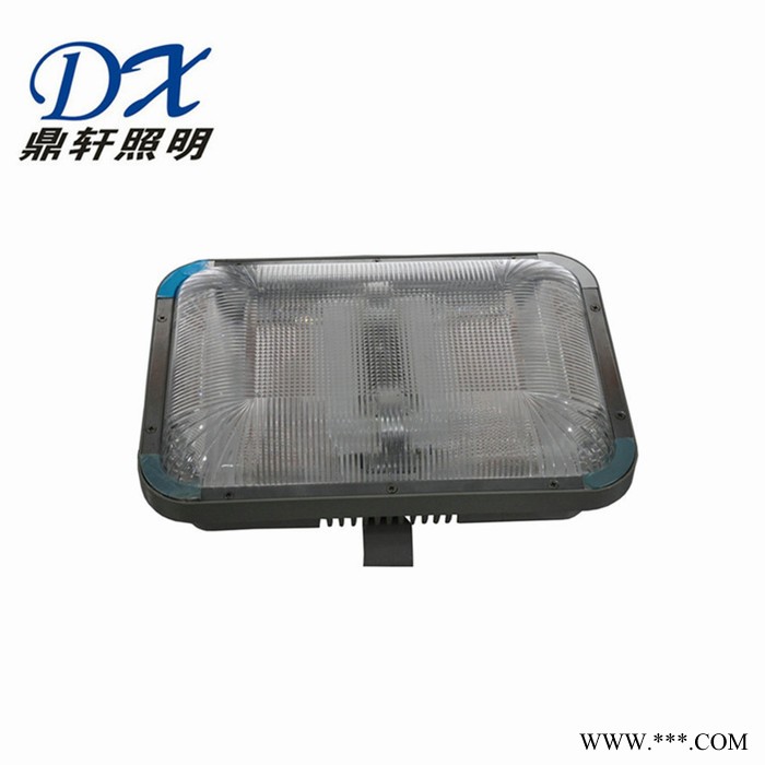 鼎轩照明NTK4020抗震型投光灯 250W金卤灯 化工厂照明灯具 220V图2