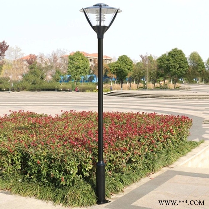 **不锈钢庭院灯公园景观灯led投光灯草坪欧式户外景观灯图2