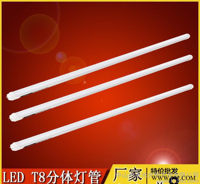 直销LED日光灯 一体化/分体灯管 T8日光灯管节能灯管1.图2