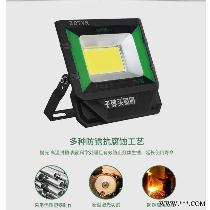 ZDTVR照明天斧系列投光灯100W图5