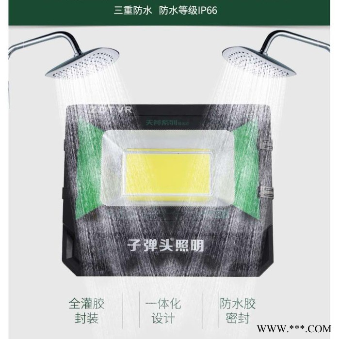 ZDTVR照明天斧系列投光灯100W图4