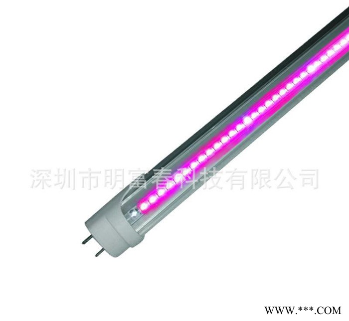 led植物生长灯管 0.6米植物补光灯 专用幼苗灯管 植物生
