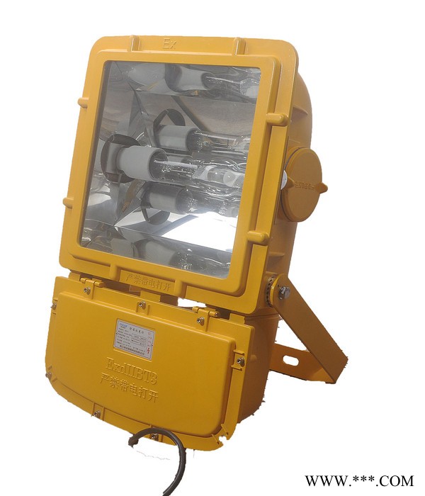 金顿BFC8126LED防爆泛光灯功率70W100W150w200w油漆房防爆灯图2