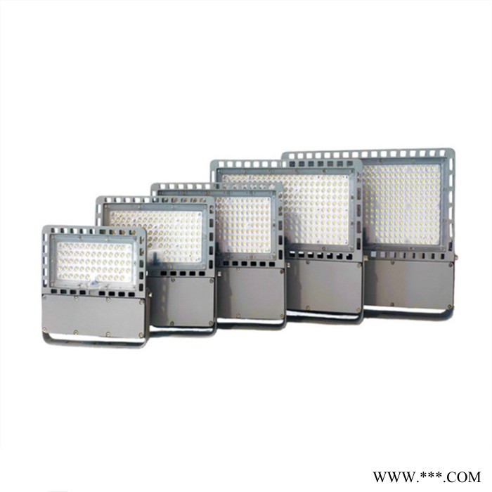 鼎轩照明 QC-FL042-A-I免维护LED泛光灯 模组场馆投光灯 100W/120W功率图2
