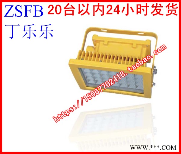 60W防爆免维护LED泛光灯 LED防爆泛光灯功率60W 防爆LED照明灯图1