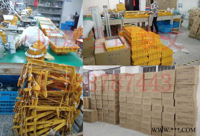 防爆免维护LED泛光灯/投光灯马路灯50W60W70W防爆LED泛光灯带网罩图1