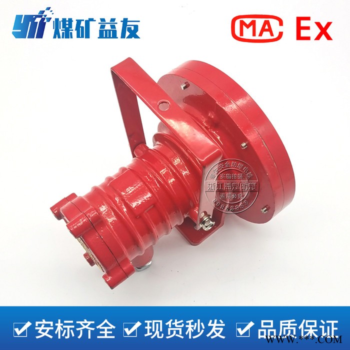 DGS24/127L(A)矿用隔爆型LED投光灯 益煤防爆灯图5