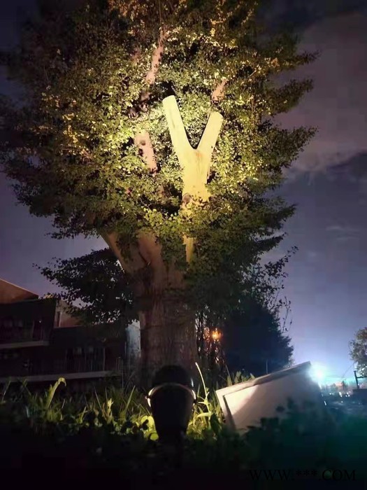 朔阳LED地埋灯，LED投光灯，LED洗墙灯，LED点光源，LED灯带，LED护栏管，中华灯，玉兰灯图3