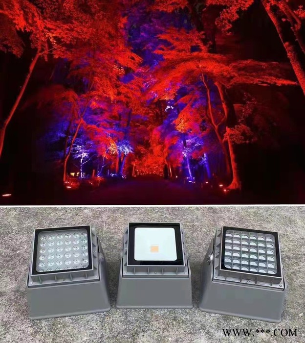 朔阳LED地埋灯，LED投光灯，LED洗墙灯，LED点光源，LED灯带，LED护栏管，中华灯，玉兰灯图2