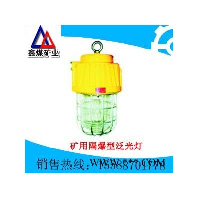 供应矿用隔爆型泛光灯 LED防爆灯
