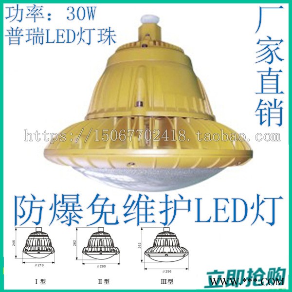 化工照明使用BAD85防爆免维护LED泛光灯圆型功率30W普瑞LED灯柱图2