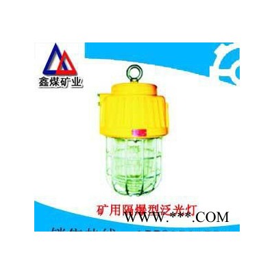 DGS70/127B（B）矿用隔爆型泛光灯 LED防爆灯价格