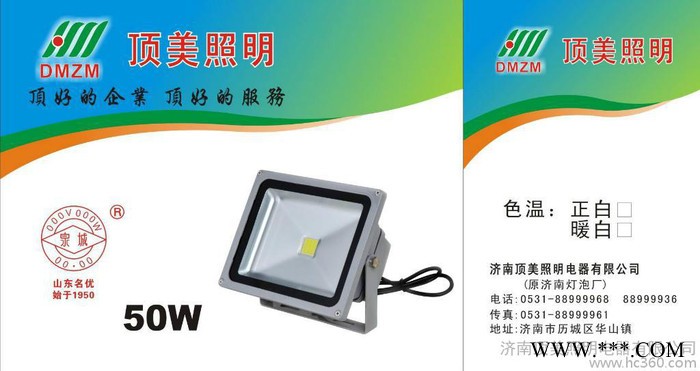 供应纯正国标百年“泉城”品牌 LED投光灯 LED射灯图2