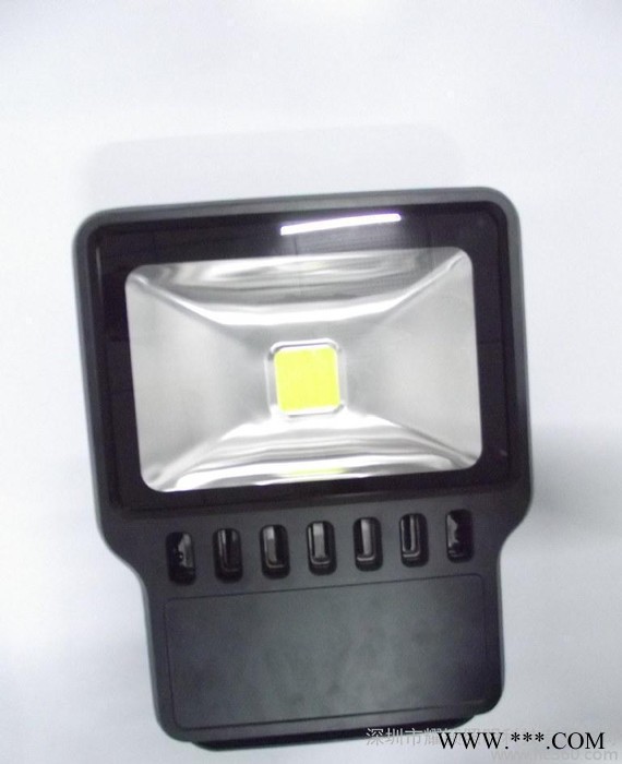 LED泛光灯   泛光灯100W   LED泛光灯100W.图2