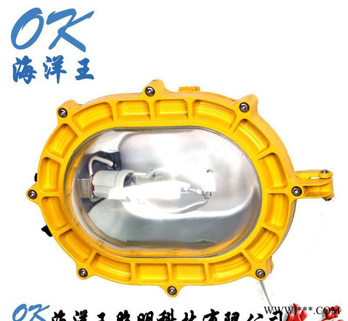 OK内场防爆强光泛光灯 海洋王强光泛光灯 NFC8120强光图2