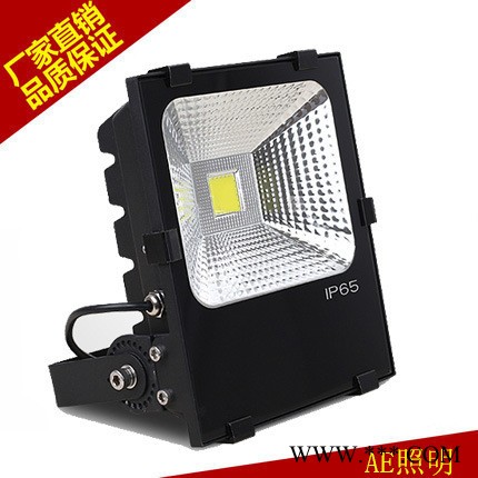 AE照明LED投光灯10w20w30Ｗ50W100W瓦广告灯招牌灯图2
