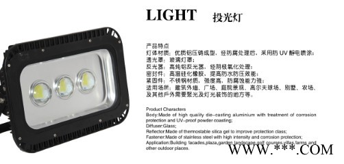 杰炜灯饰TT-56701 投光灯图2
