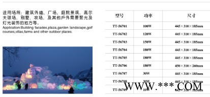 杰炜灯饰TT-56701 投光灯图8