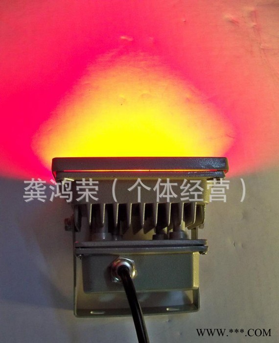 110伏室外IP65防水10W集成LED泛光灯 IP65投光灯 220伏投光泛光灯 24伏泛光灯 36伏泛光灯图4