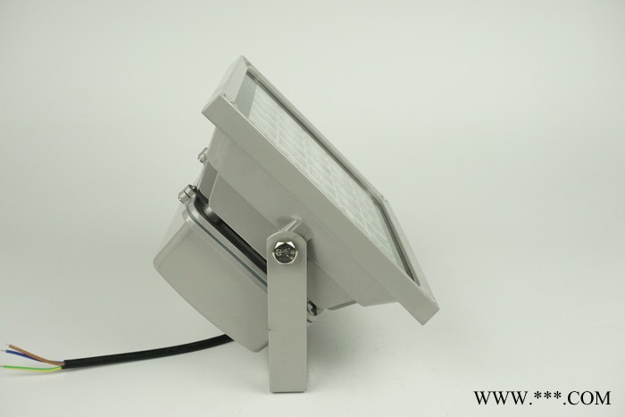 110伏室外IP65防水10W集成LED泛光灯 IP65投光灯 220伏投光泛光灯 24伏泛光灯 36伏泛光灯图5