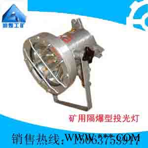 供应矿用隔爆型投光灯图1