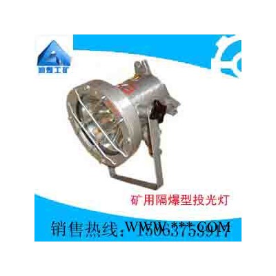 供应矿用隔爆型投光灯