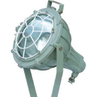 防爆投光灯 隔爆型防爆灯 防爆灯具 BAT51(圆）-1000W