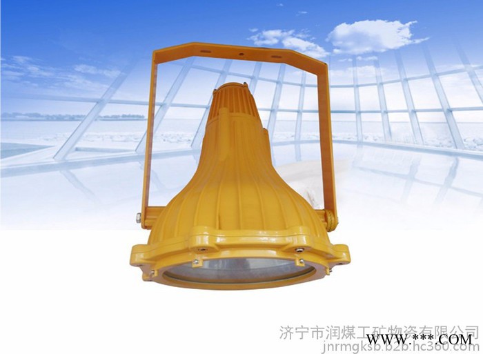 ZAD913JY-250/220矿用隔爆型LED投光灯图1